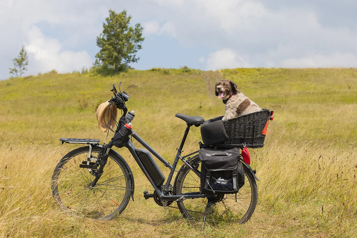 2025 Buyer’s Guide: A Complete Road E-Bike Buying Checklist
