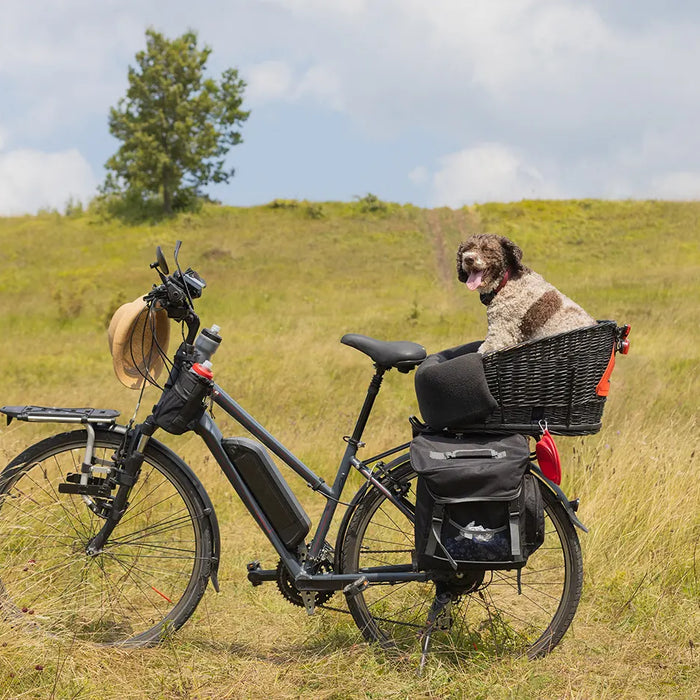 2025 Buyer’s Guide: A Complete Road E-Bike Buying Checklist