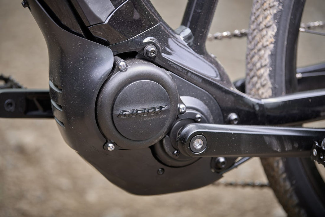 Giant Roam E+ STA Black