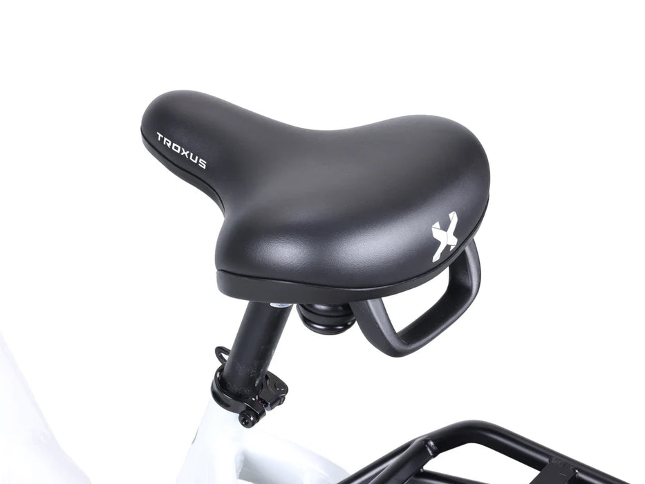 Lynx Plus 20" E-Bike