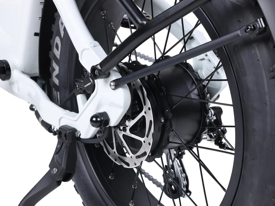 Lynx Plus 20" E-Bike