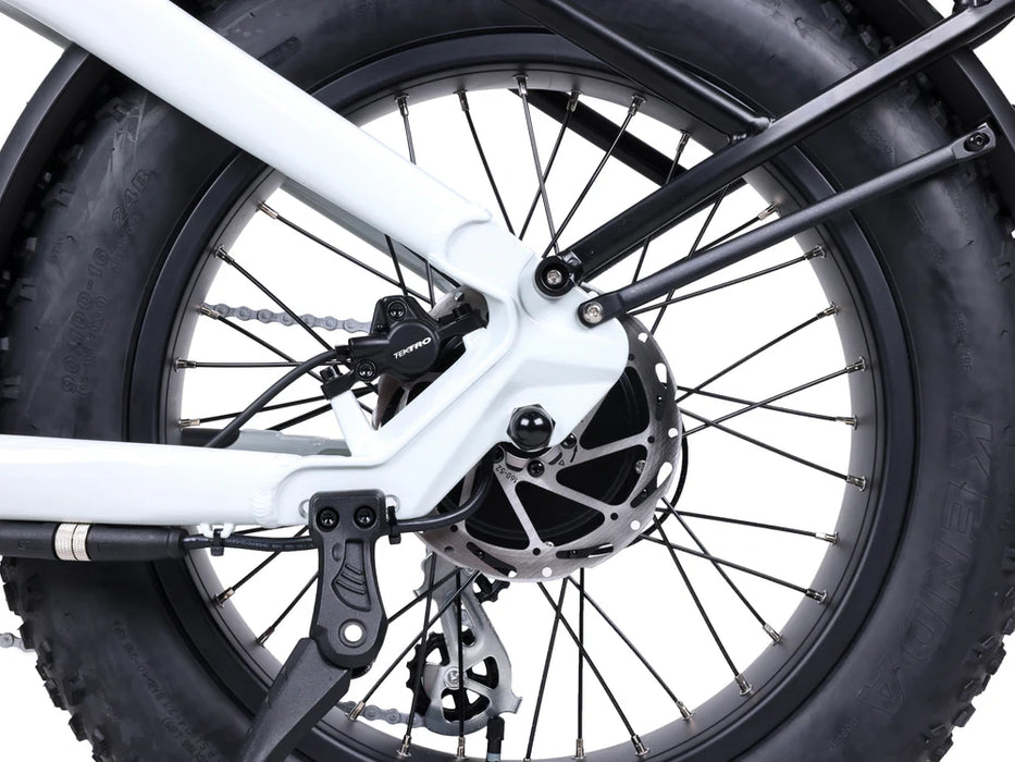 Lynx Plus 20" E-Bike