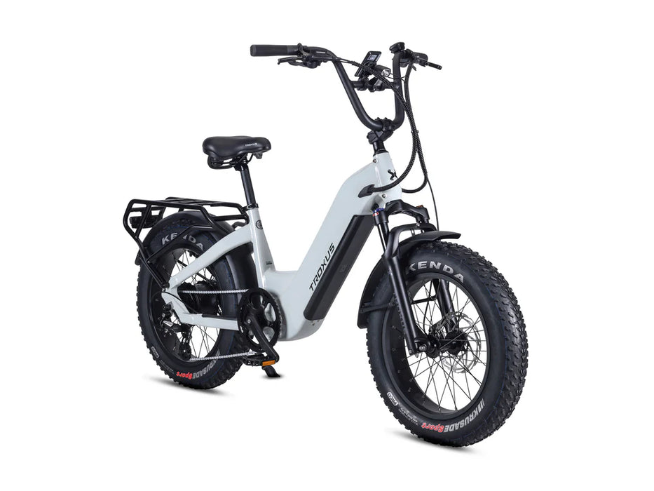 Lynx Plus 20" E-Bike