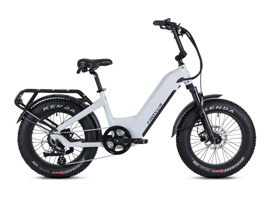 Lynx Plus 20" E-Bike