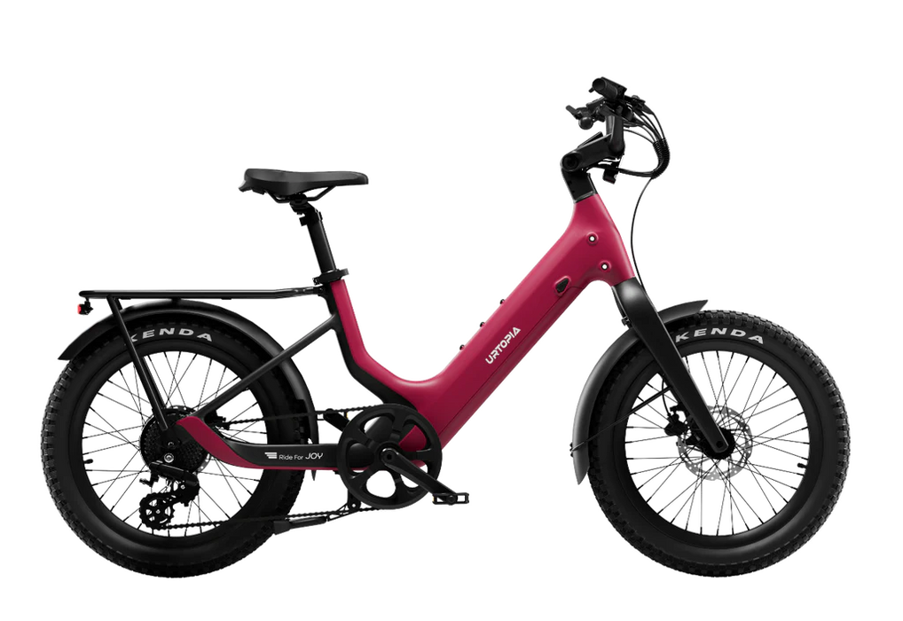 Carbon Joy Ultra E-Bike