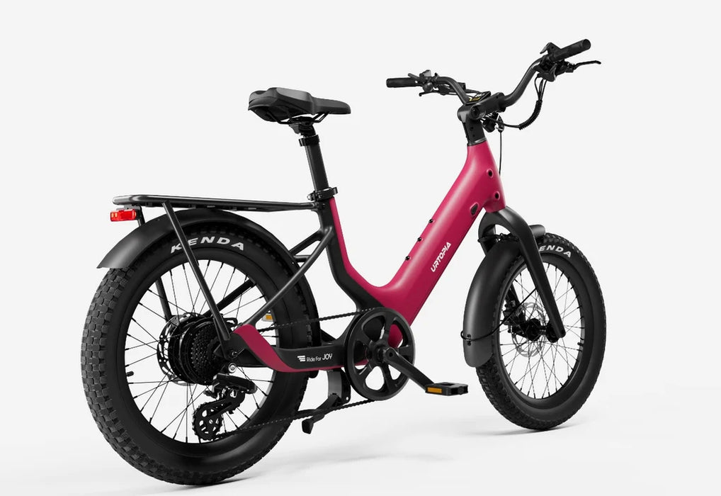 Carbon Joy Ultra E-Bike