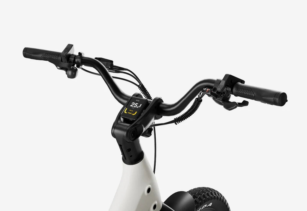 Carbon Joy Ultra E-Bike