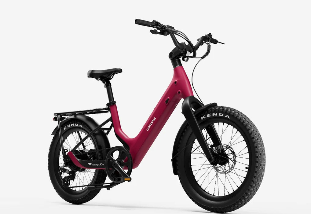Carbon Joy Ultra E-Bike