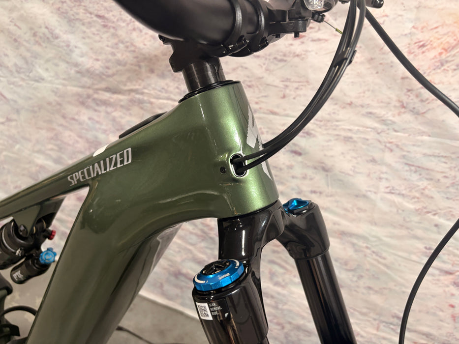 Specialized Turbo Levo 4 Expert Demo Gloss Cypress Metallic / Silver Dust S4