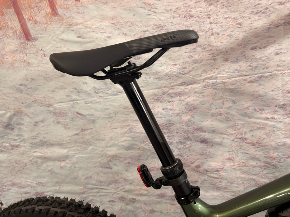 Specialized Turbo Levo 4 Expert Demo Gloss Cypress Metallic / Silver Dust S4