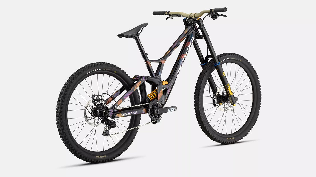 Specialized Demo Race