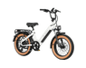 AMIA Big Sur Sport Ebike