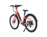 AMIA Key West Ebike