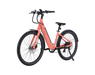 AMIA Key West Ebike