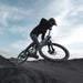 Amflow PX Carbon