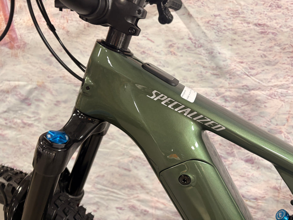 Specialized Turbo Levo 4 Expert Demo Gloss Cypress Metallic / Silver Dust S3
