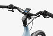 Carbon Classic Step-Thru E-Bike