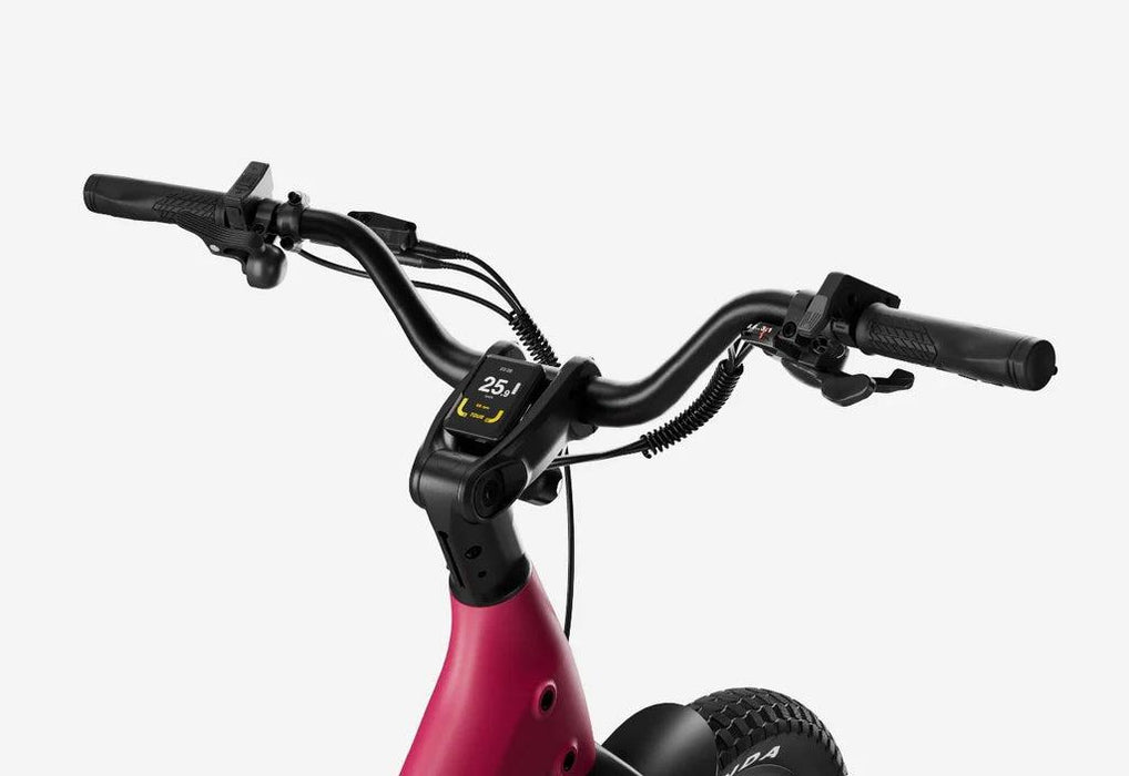 Carbon Joy Ultra E-Bike