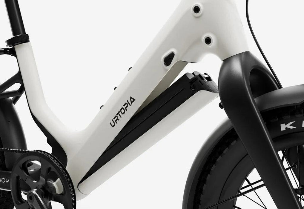 Carbon Joy Ultra E-Bike