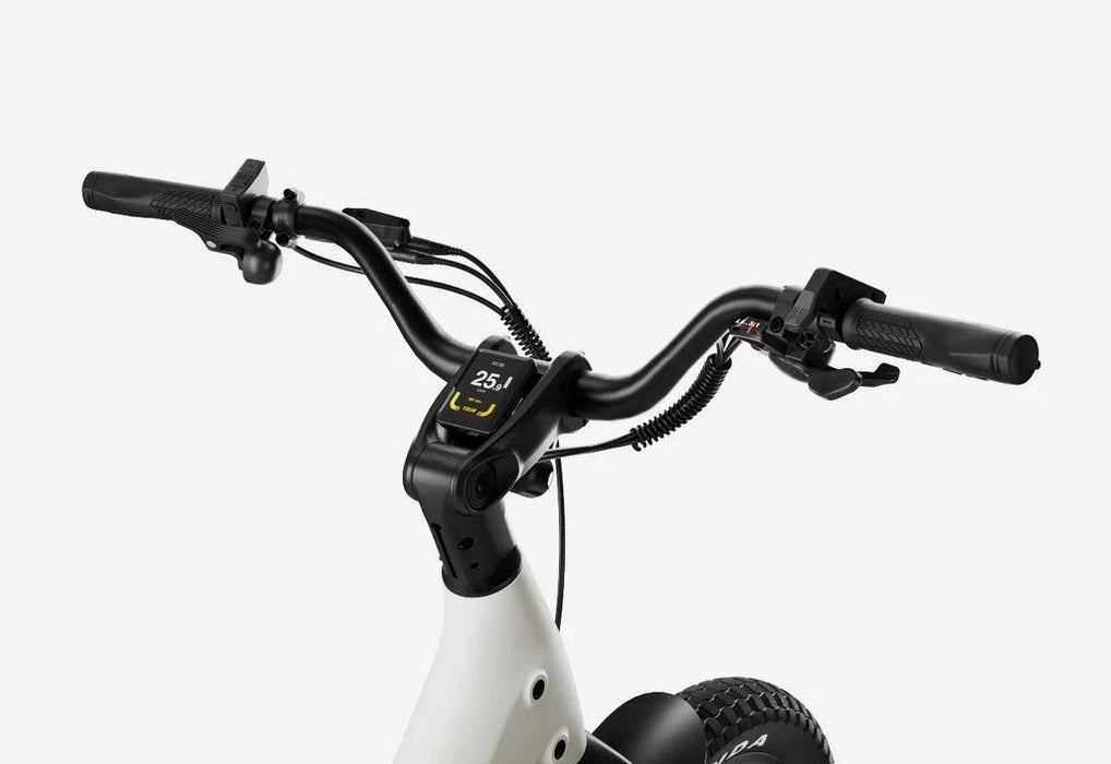 Carbon Joy Ultra E-Bike