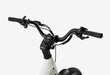 Carbon Joy Ultra E-Bike