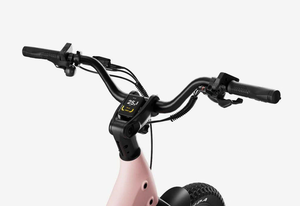 Carbon Joy Ultra E-Bike