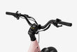 Carbon Joy Ultra E-Bike