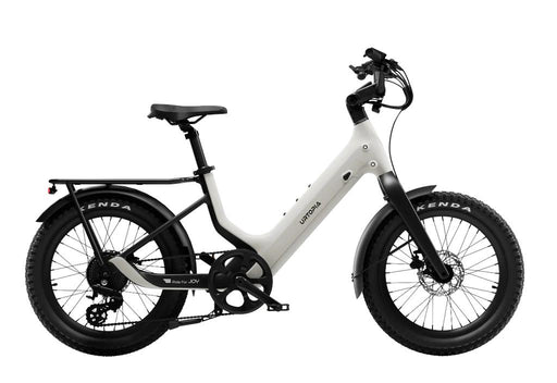 Carbon Joy Ultra E-Bike
