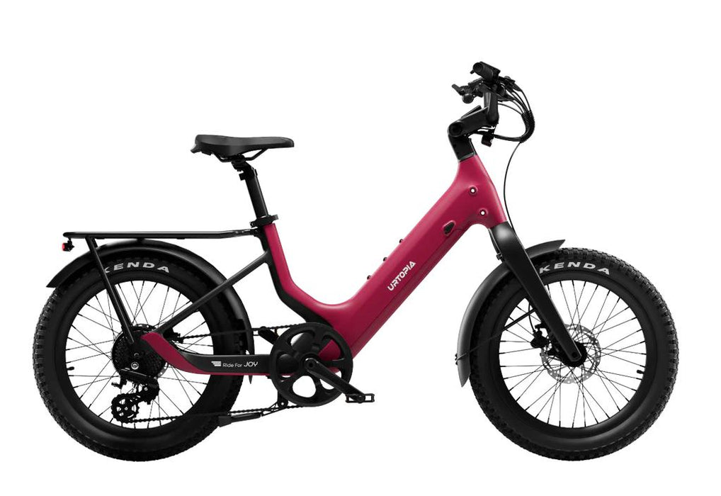 Carbon Joy Ultra E-Bike