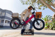 Carbon Joy Ultra E-Bike