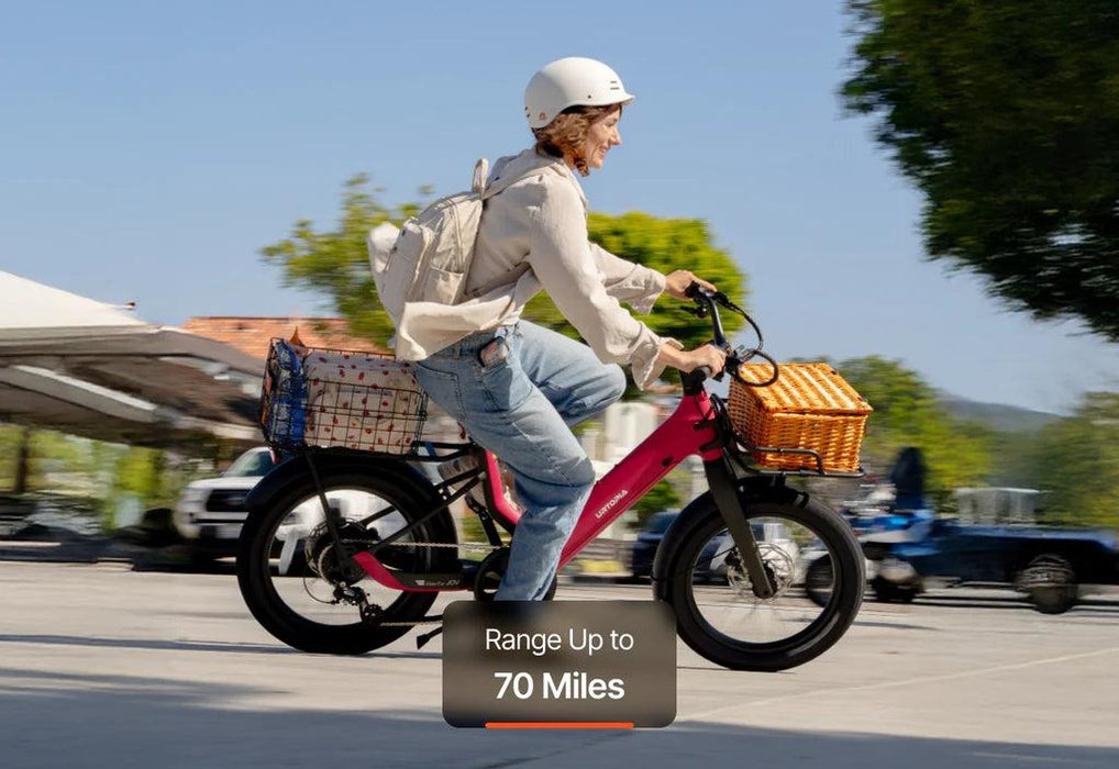 Carbon Joy Ultra E-Bike