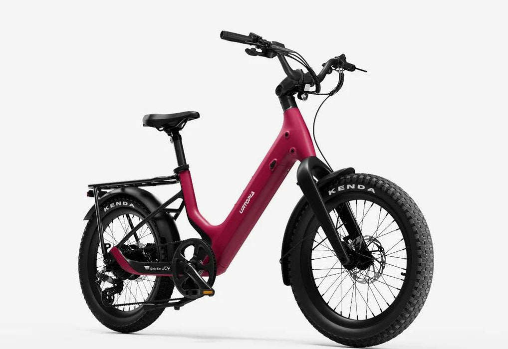 Carbon Joy Ultra E-Bike