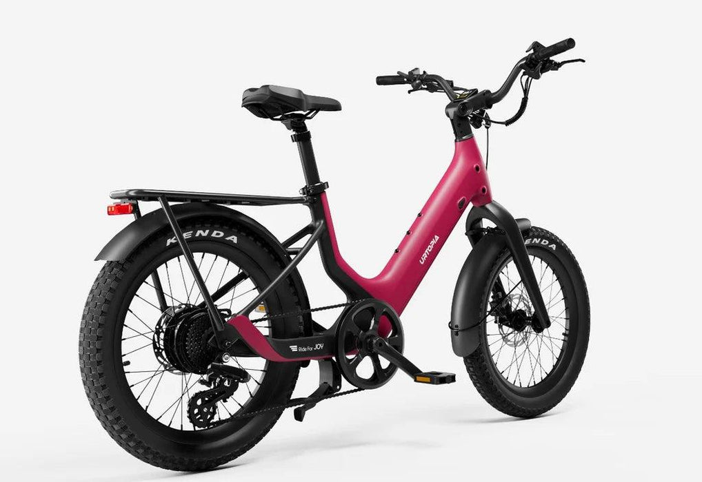 Carbon Joy Ultra E-Bike