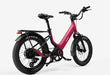 Carbon Joy Ultra E-Bike