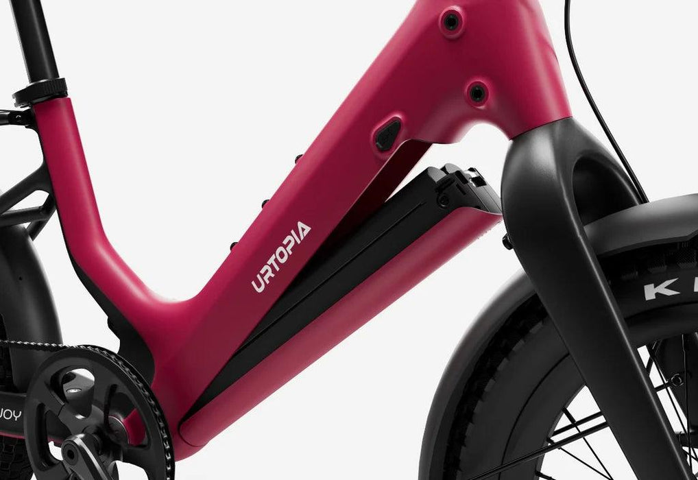 Carbon Joy Ultra E-Bike