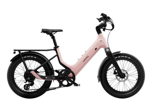Carbon Joy Ultra E-Bike