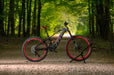Certified Pre-Owned Audi Ebike Powered by Fantic