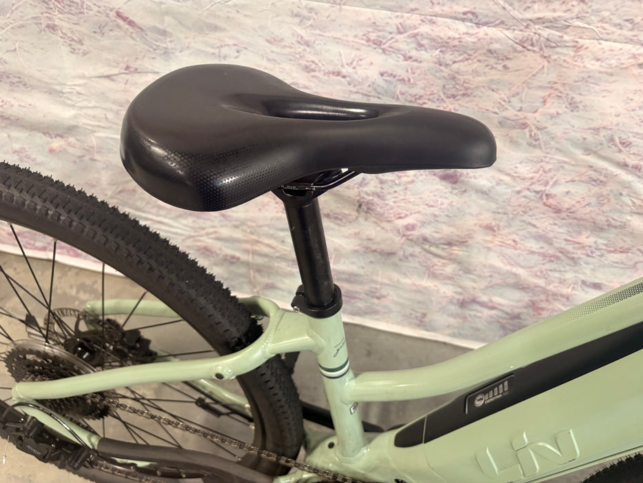 Giant Liv Rove E+ Green Certifed Pre-Owned