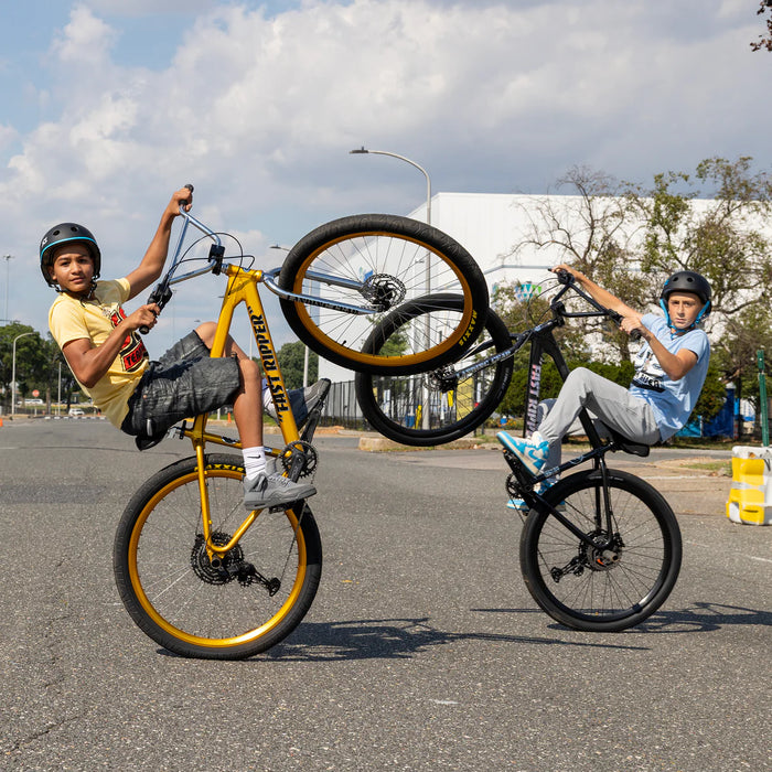 SE Fast Ripper 29" Bicycle