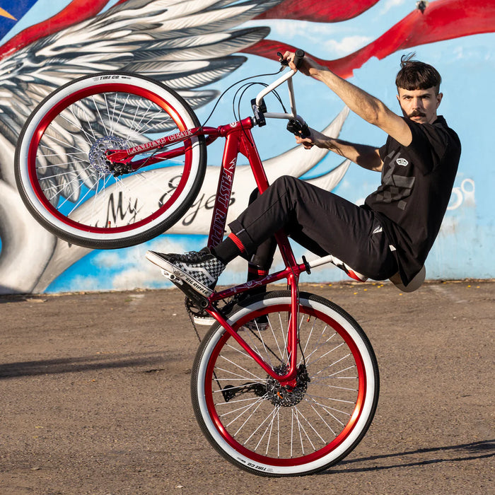 SE Fast Ripper 29" Bicycle