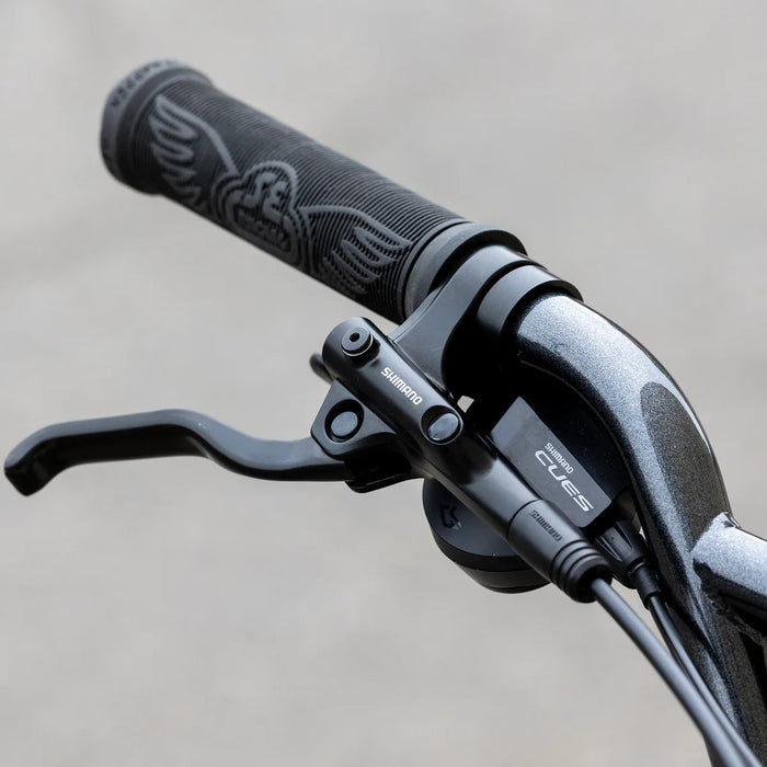 SE Fast Ripper 29" Bicycle