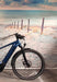 Giant Explore E+ 2 GTS Demo Small