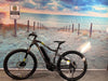 Haibike SDURO HardSeven 1.0 Certified Pre Owned