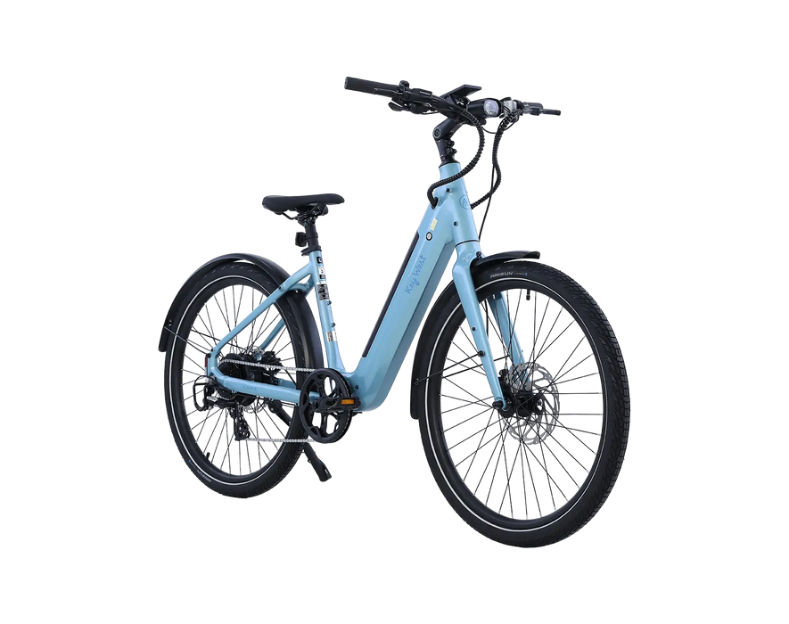 AMIA Key West Ebike