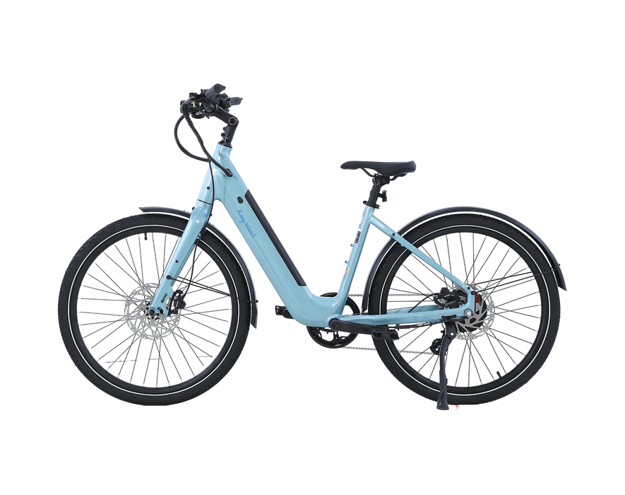 AMIA Key West Ebike