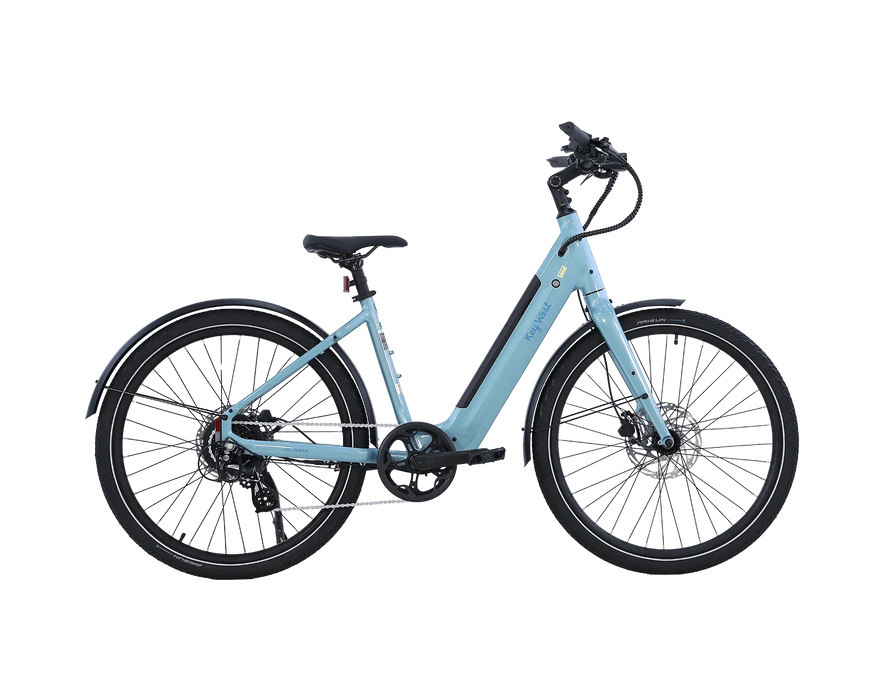 AMIA Key West Ebike