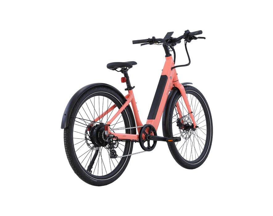 AMIA Key West Ebike