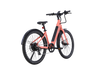 AMIA Key West Ebike