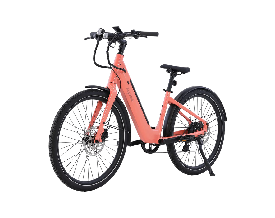 AMIA Key West Ebike