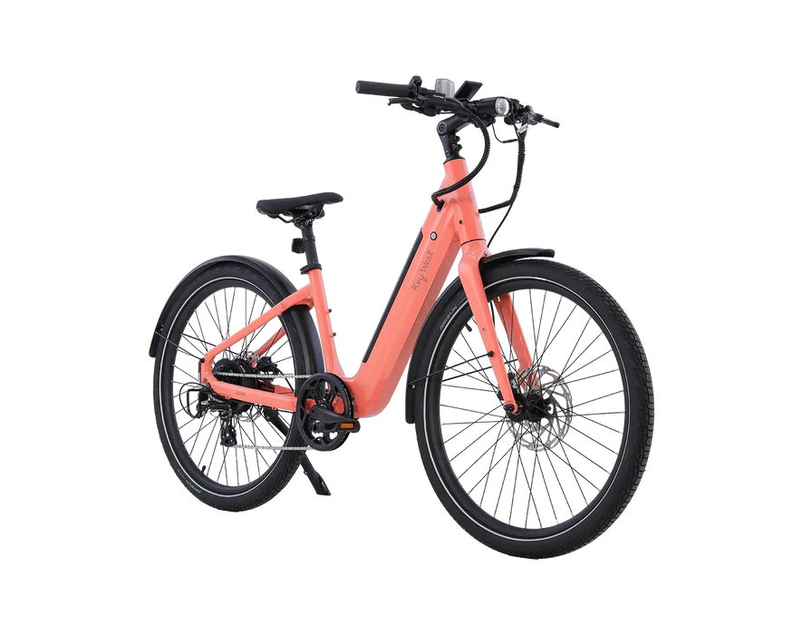 AMIA Key West Ebike